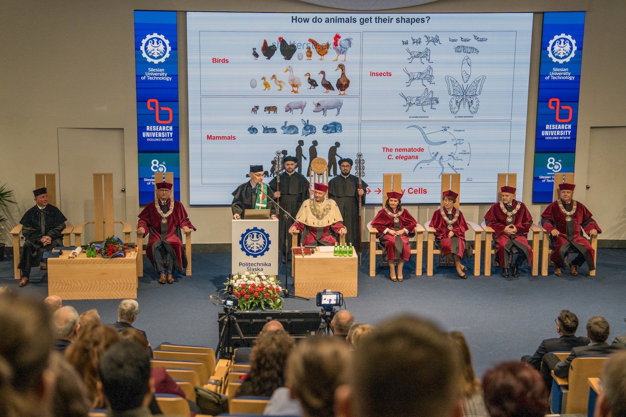 fot. G. Ożga / UM w Gliwicach mężczyźni i kobiety