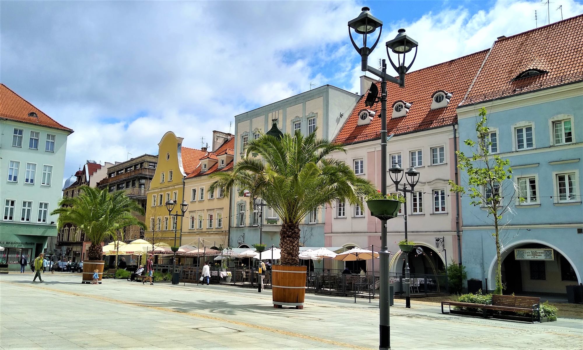 Fot. M.Foltyn/UM.Gliwice palmy na Rynku