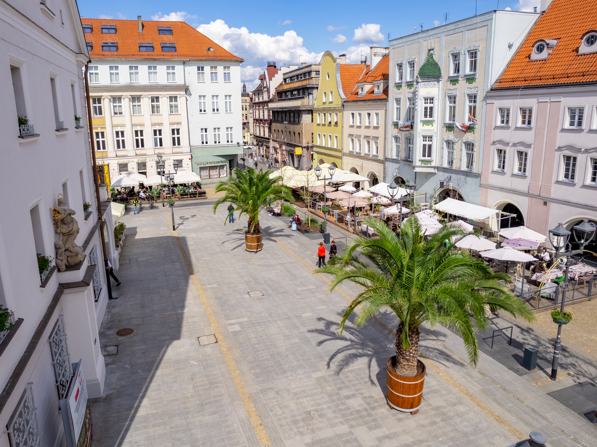 Fot. F.Zobawa/UM Gliwice palmy na Rynku
