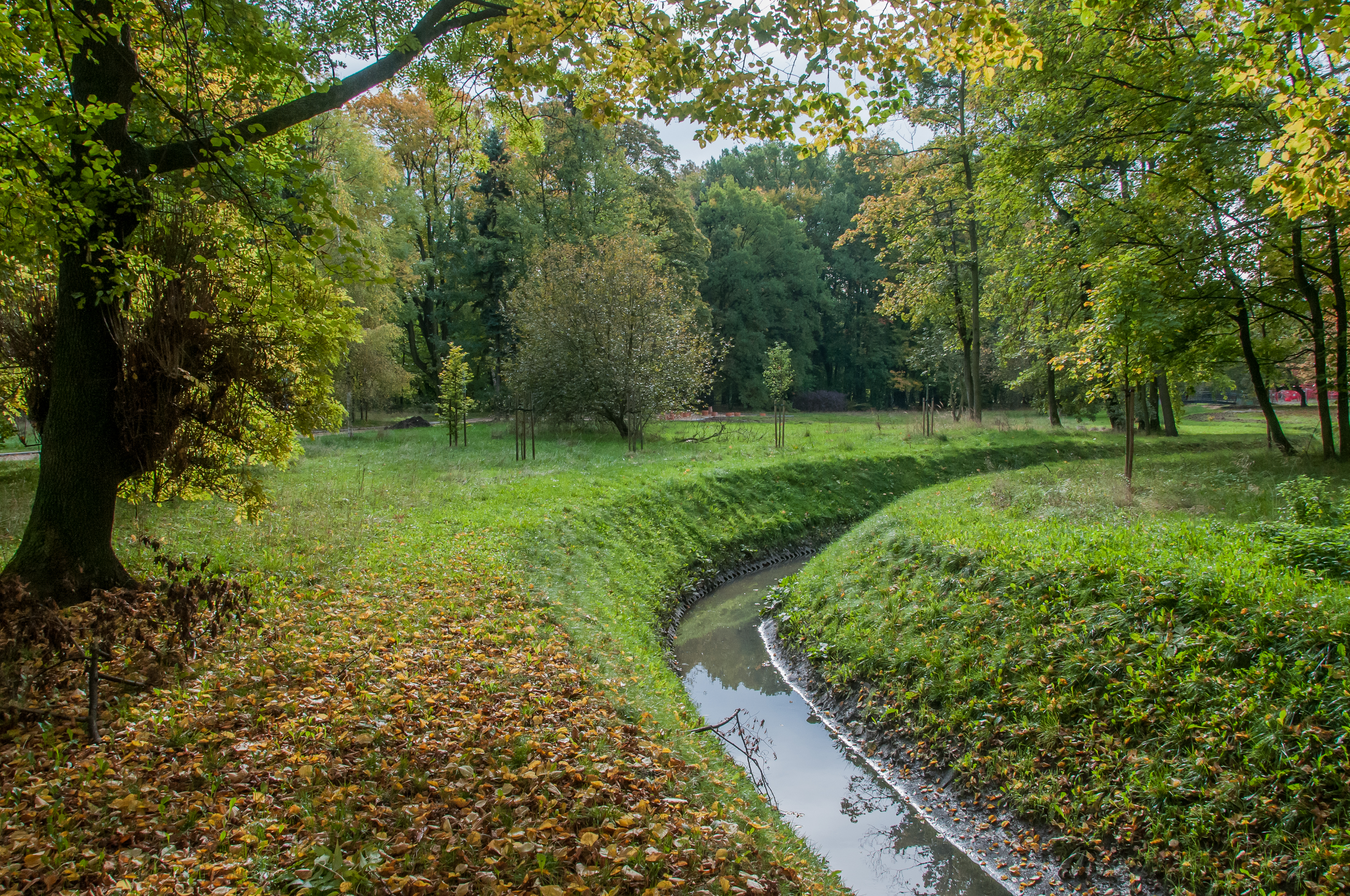 park Chrobrego