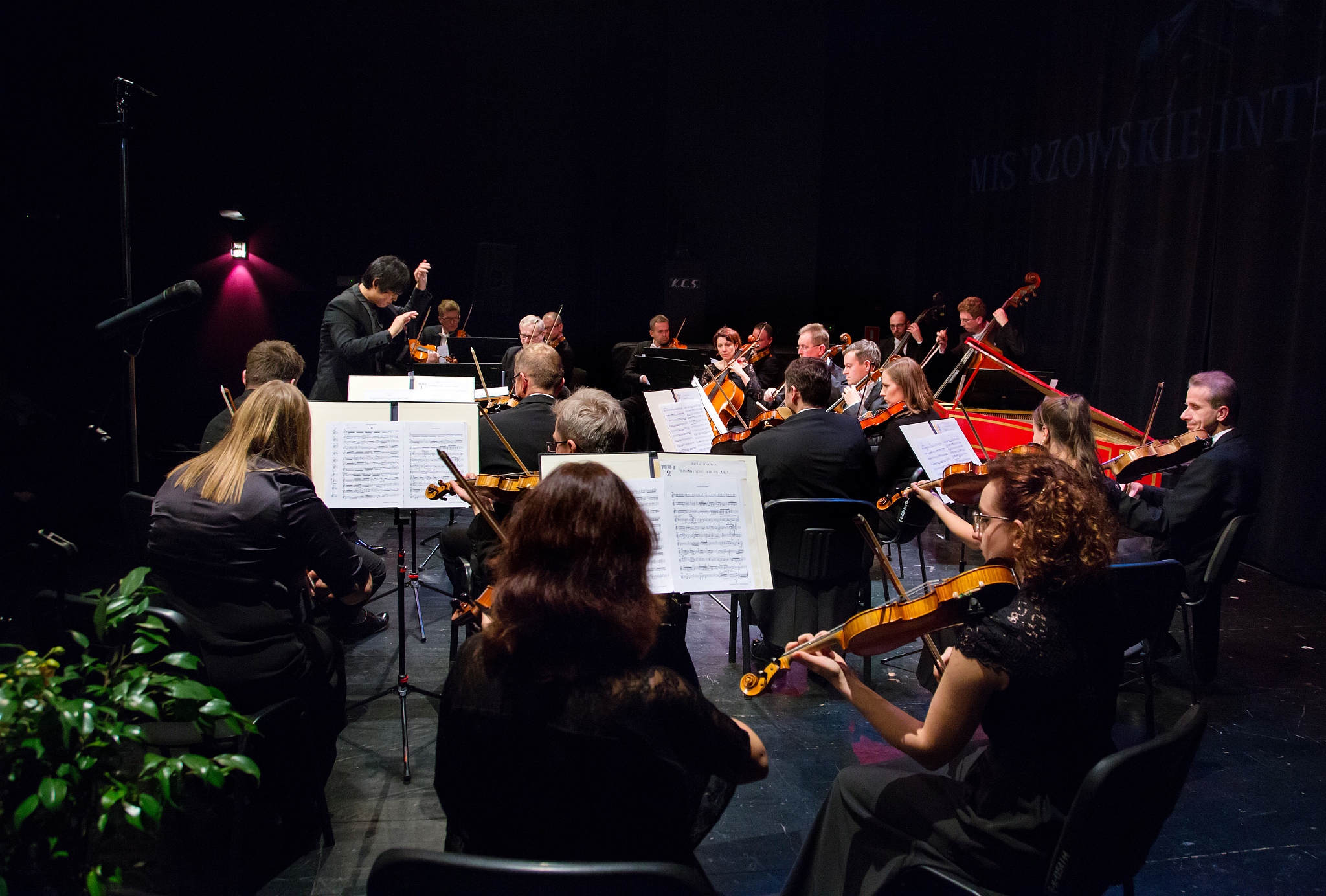 koncert