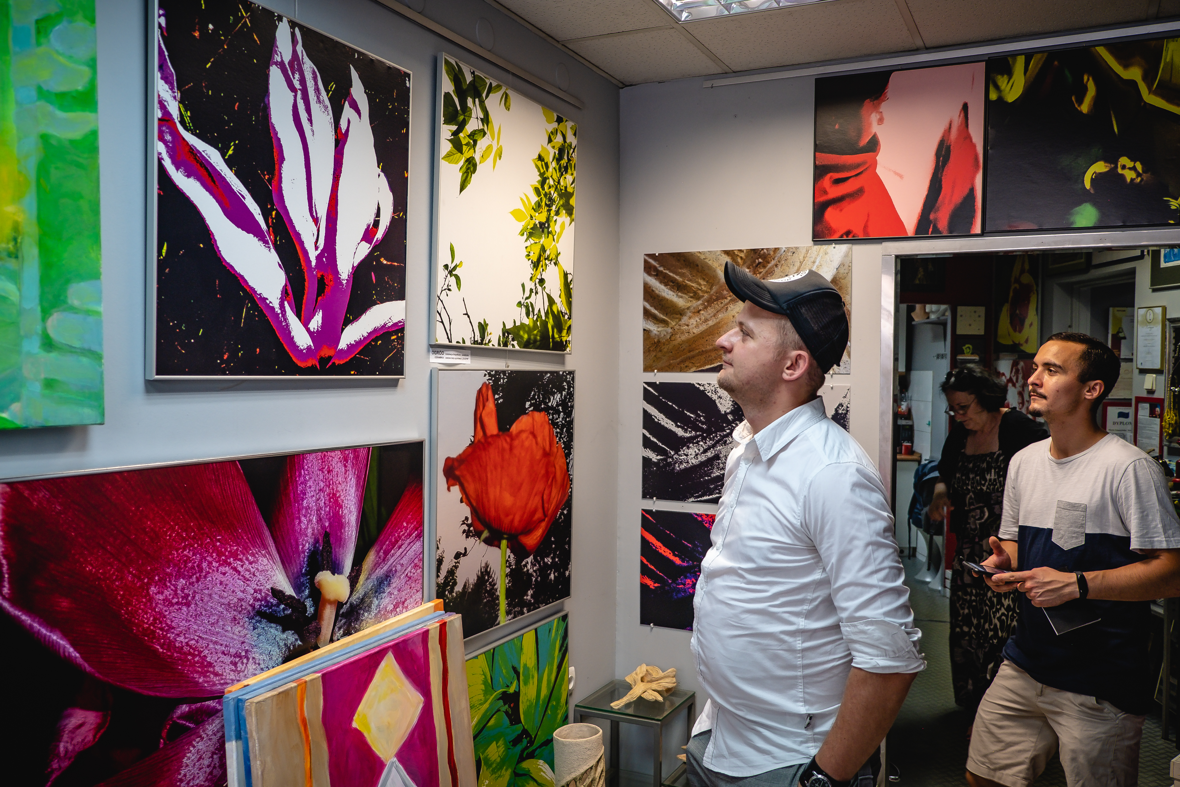 ArtNoc