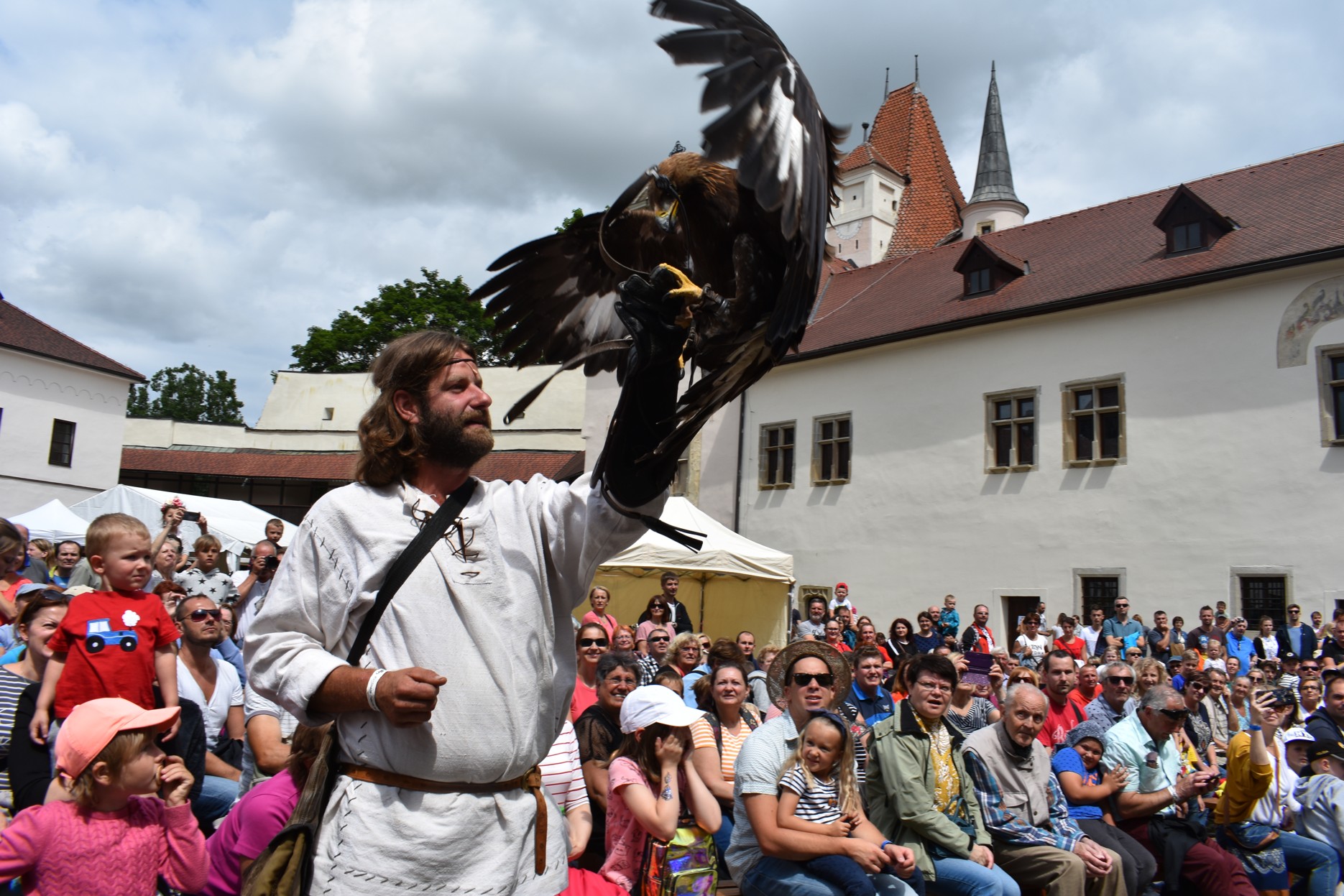 sokolnik