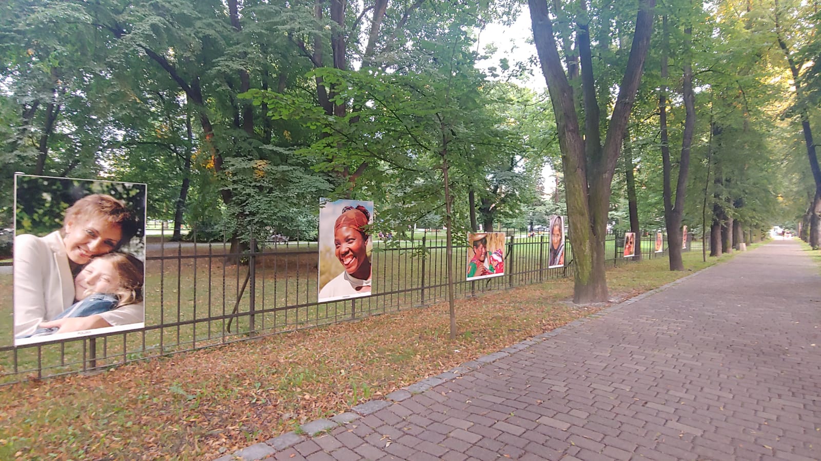 fotografie na płocie