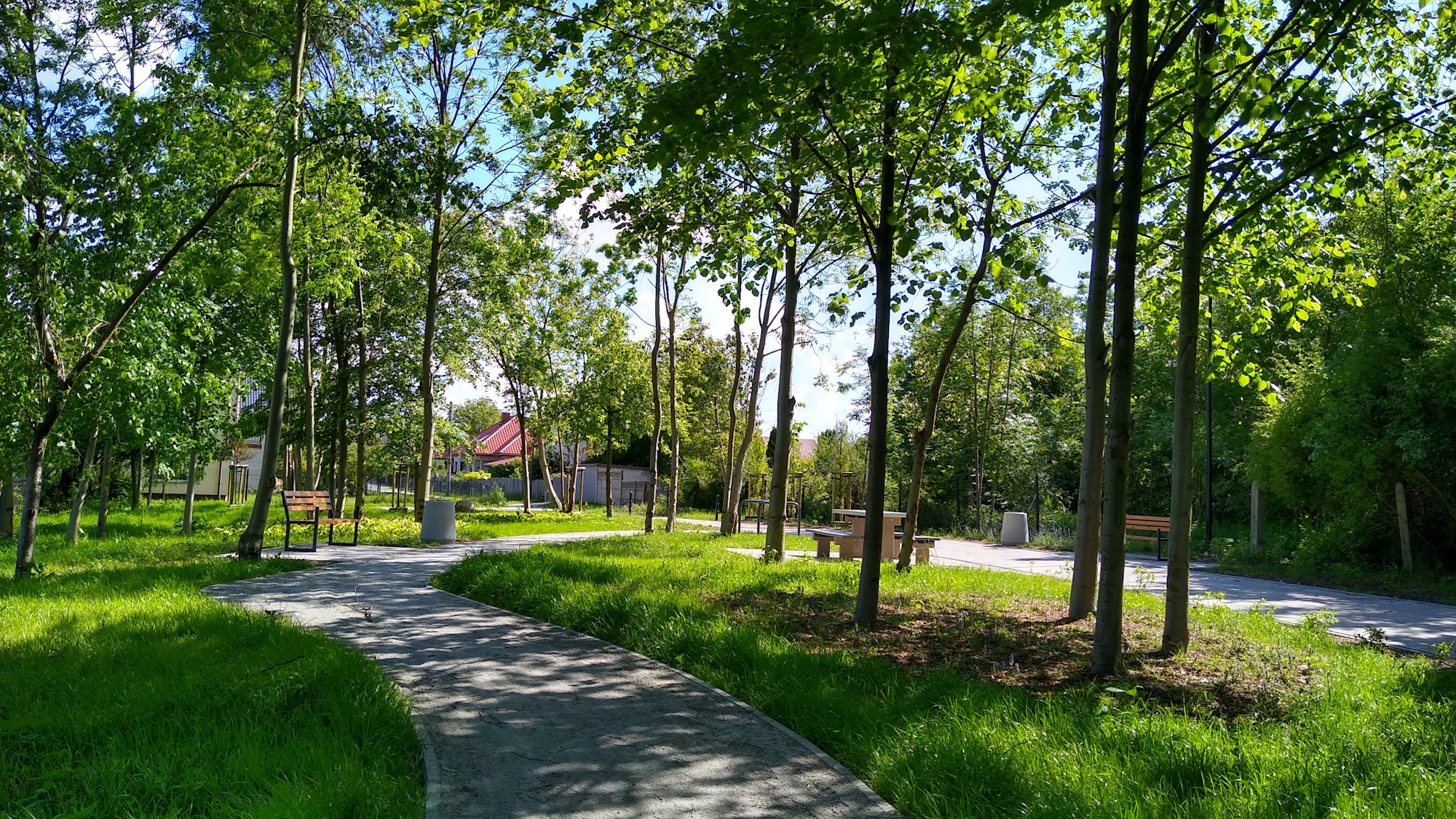 zielony park kieszonkowy w Ostropie. Drzewa i trawy