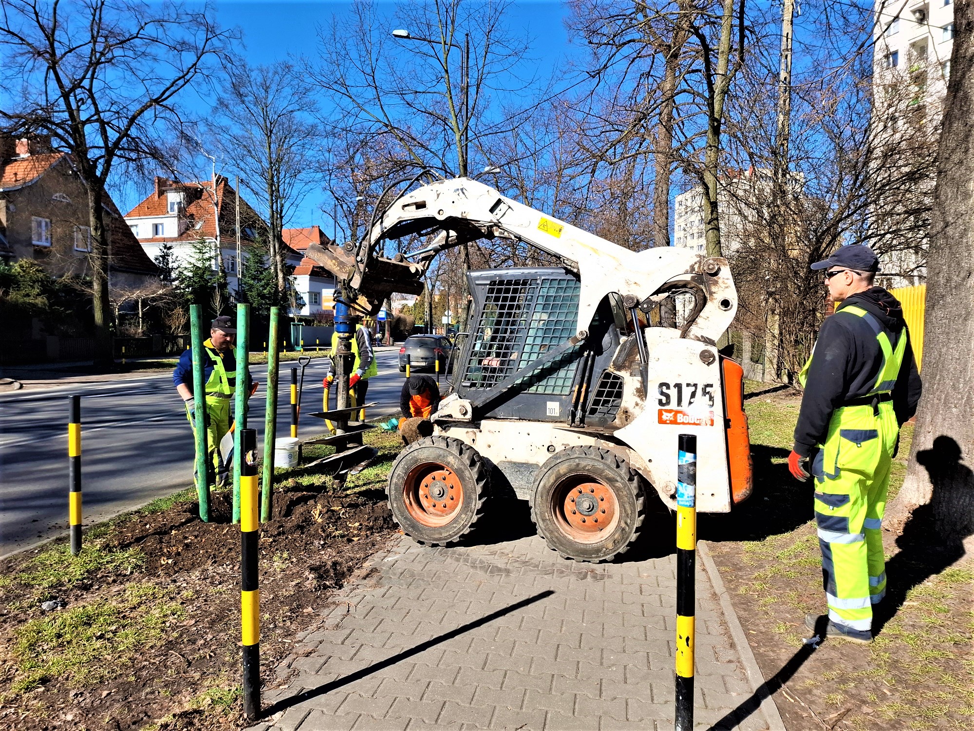 ludzie sadzą drzewa. Jest też pojazd