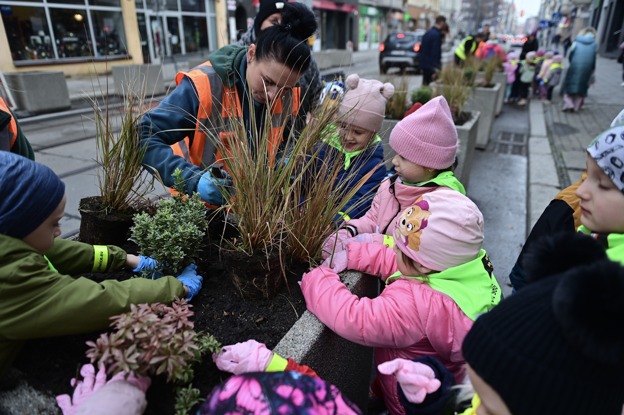 dzieci sadzą cebulki w donicy