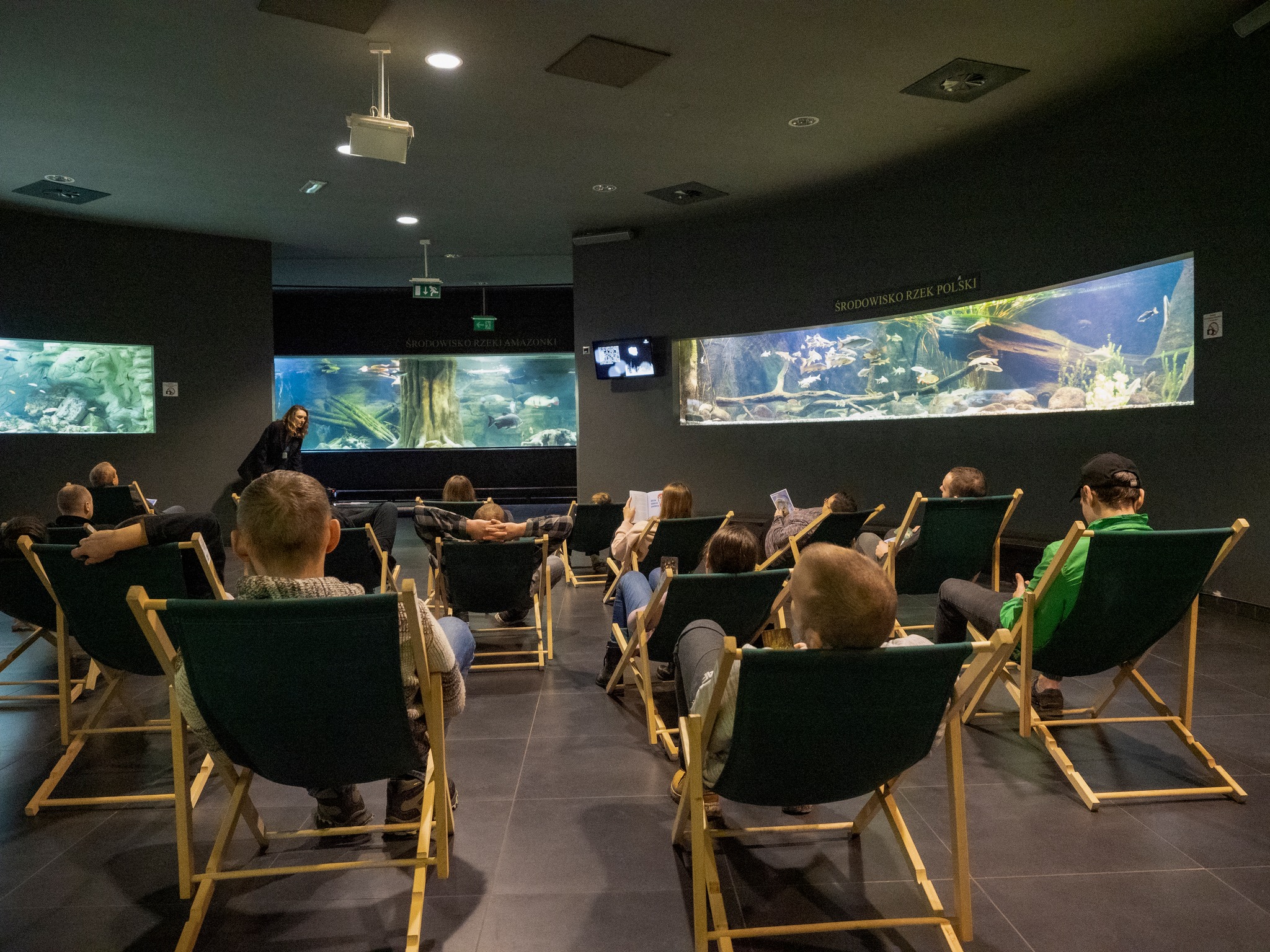 ludzie na leżakach w Palmiarni