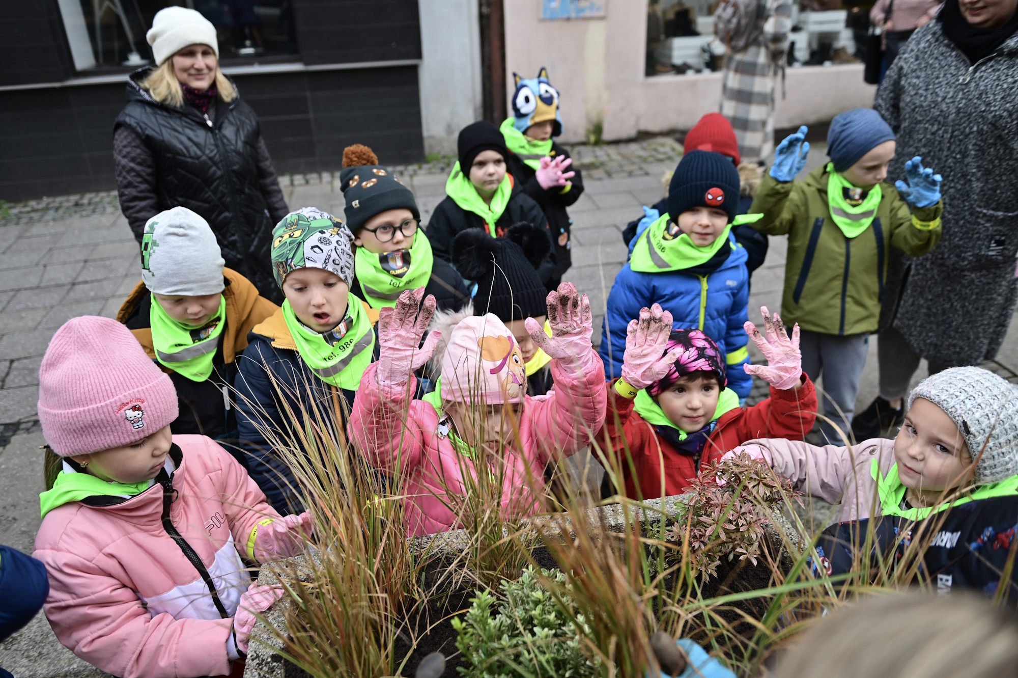 dzieci sadzą sadzonki