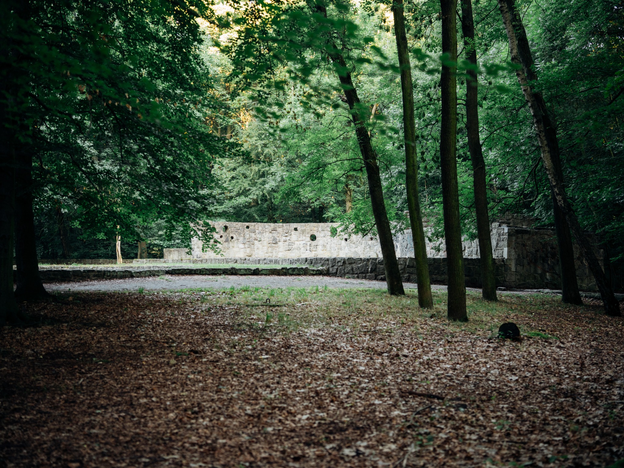 park przy Chorzowskiej