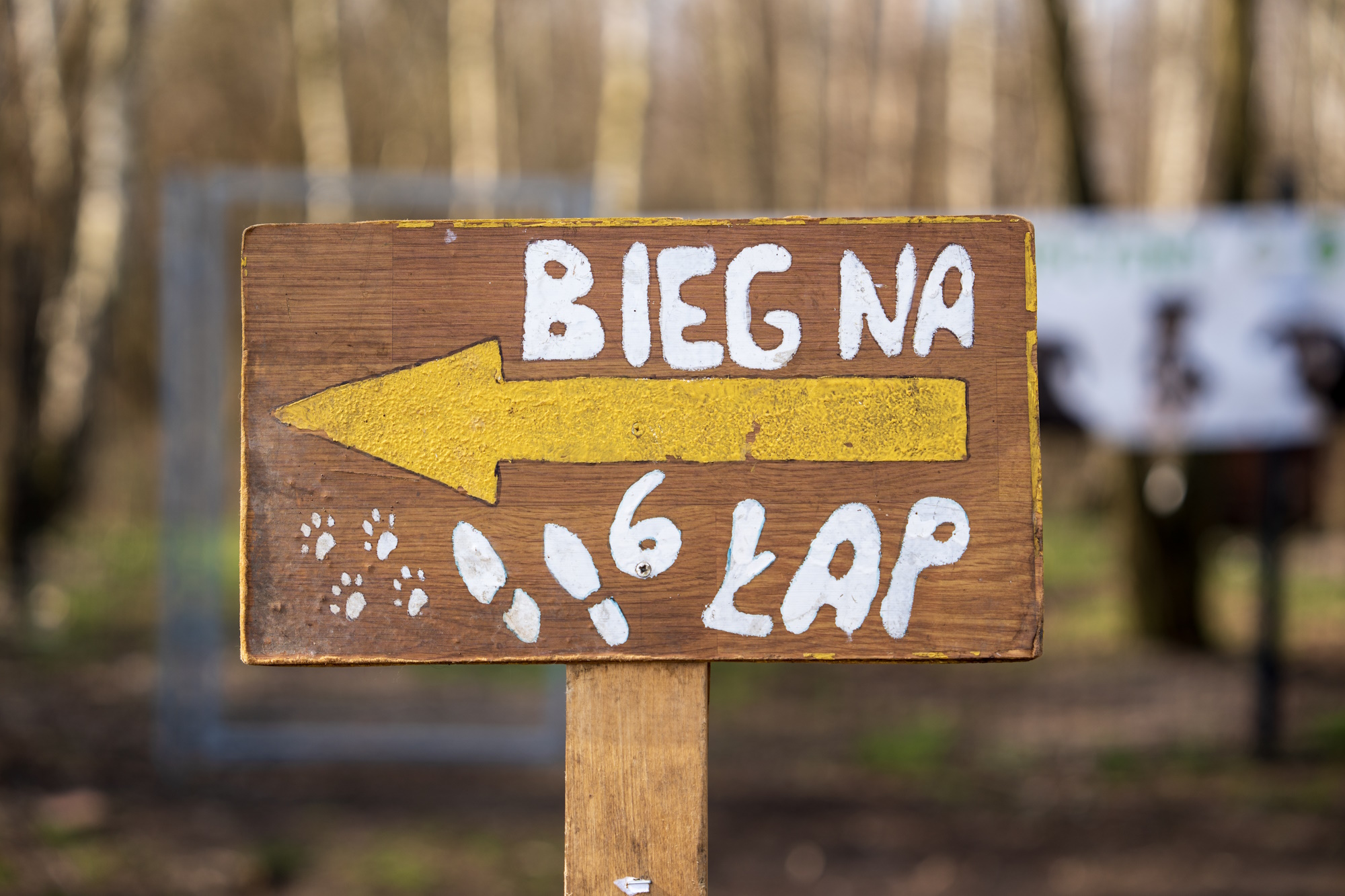Fot. G.Ożga/UM Gliwice tabliczka z napisem Bieg na 6 łap