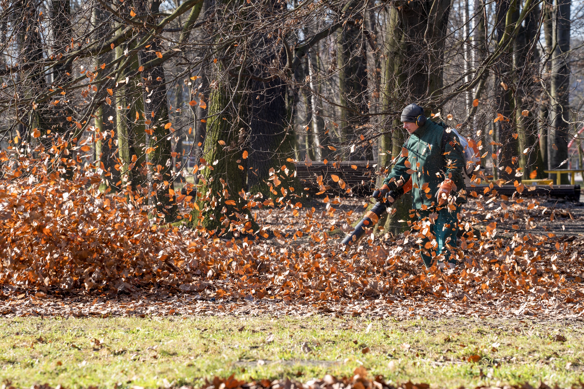 człowiek z dmuchawą na liście