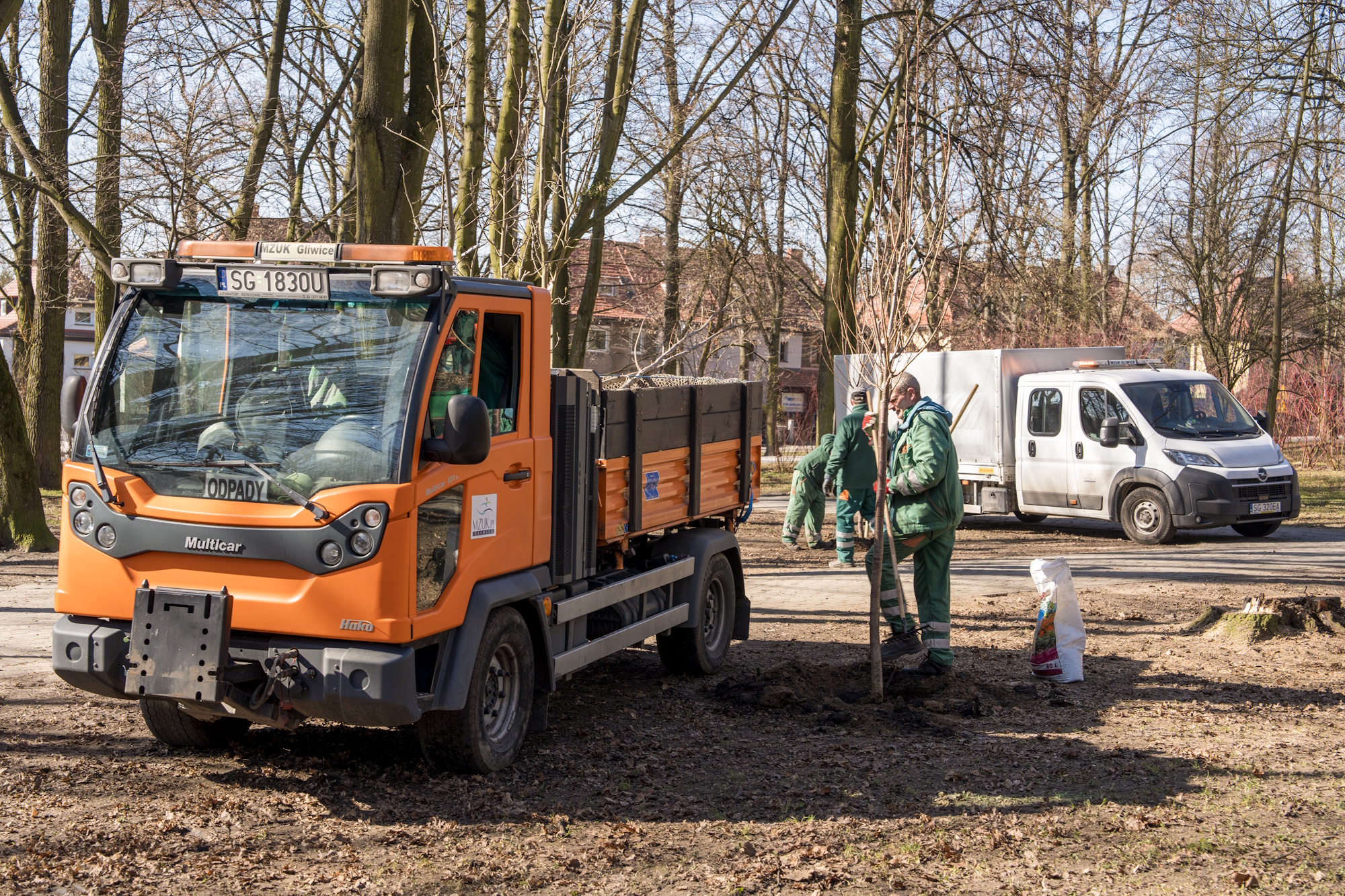 człowiek obok pomarańczowego samochodu w parku i drzewka