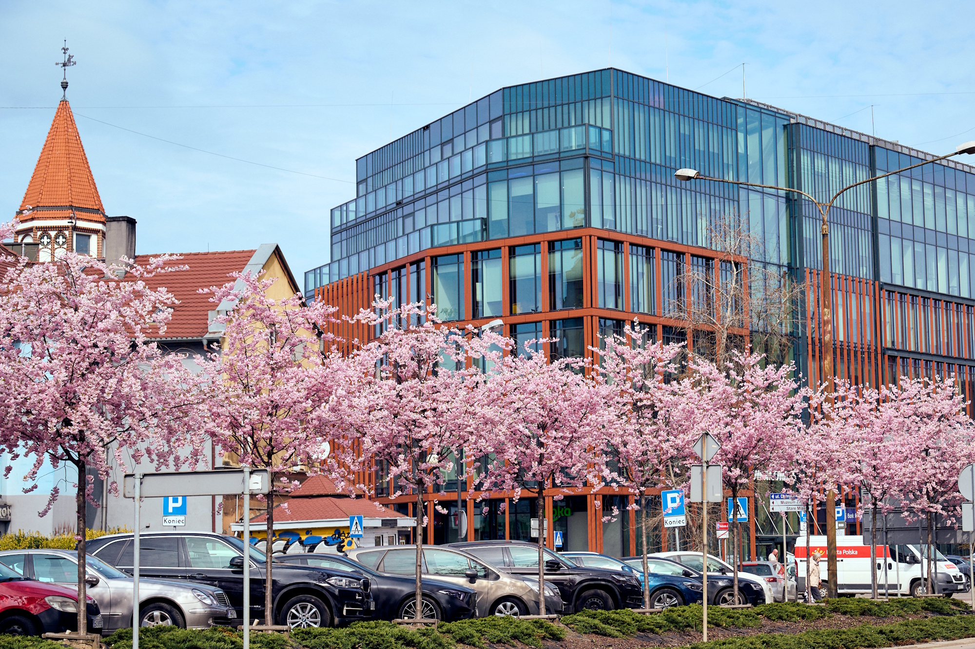 kwitnące drzewa na ul. Dworcowej