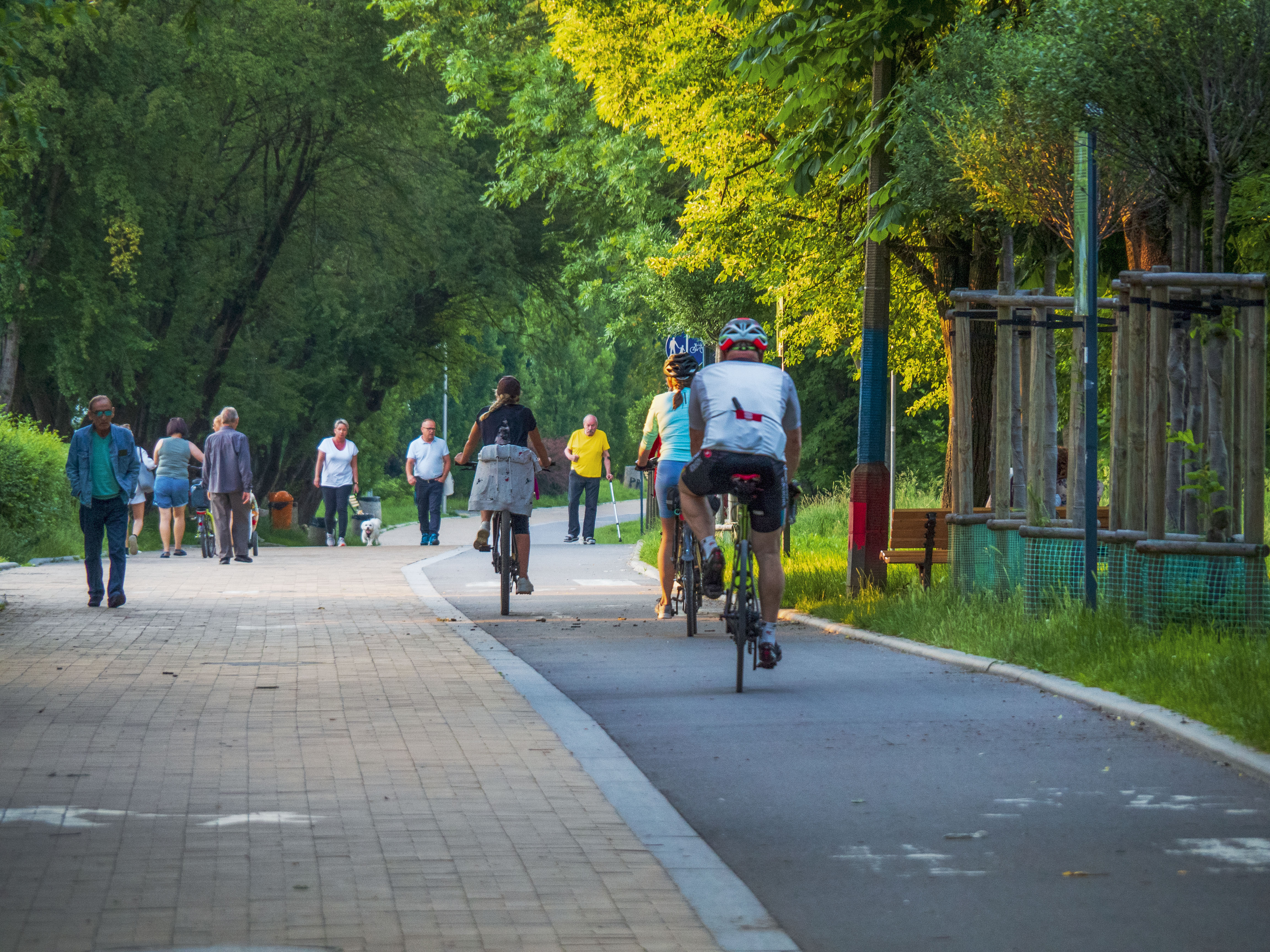 ścieżki rowerowe