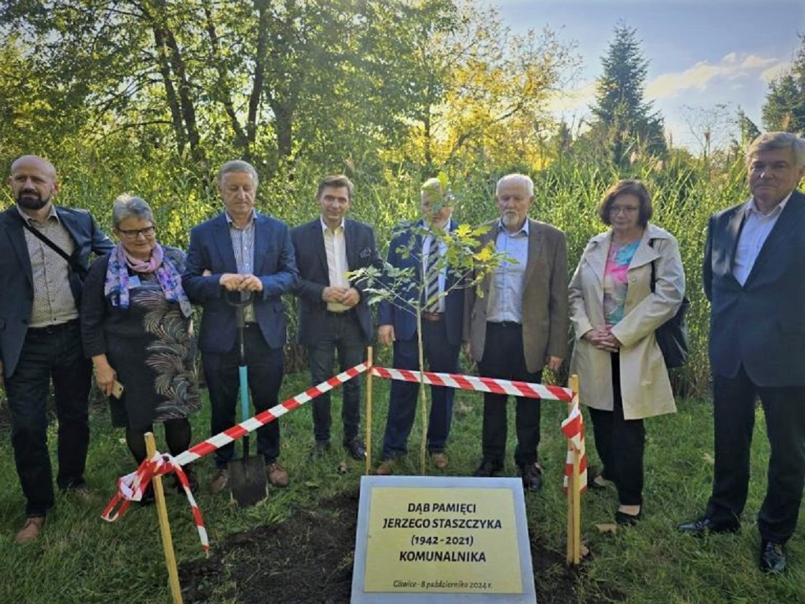 Kolejne drzewo pamięci w Gliwicach