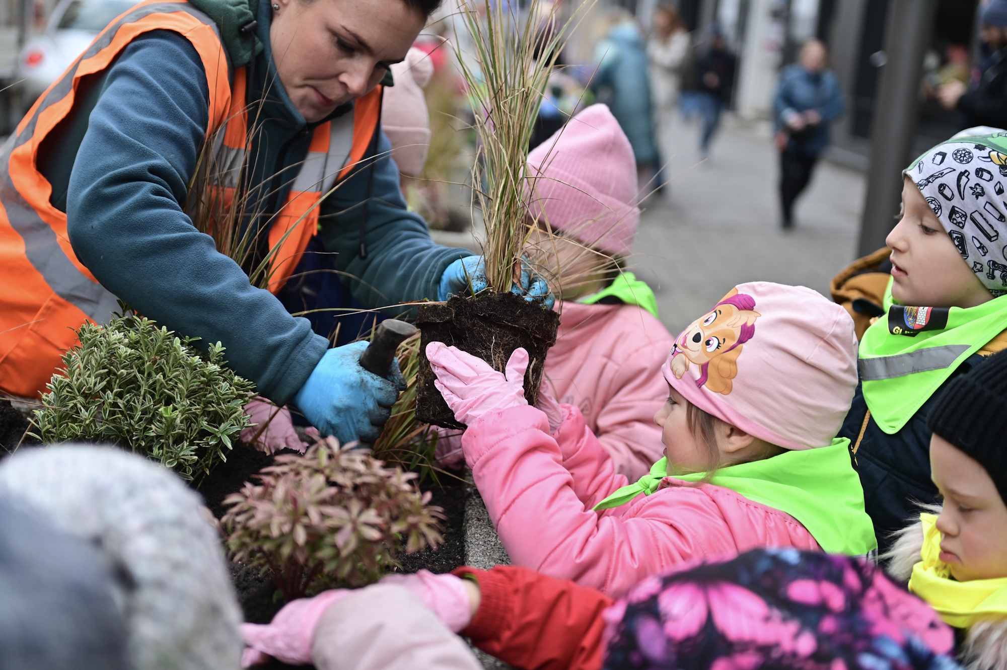 dzieci przy donicy z sadzonkami