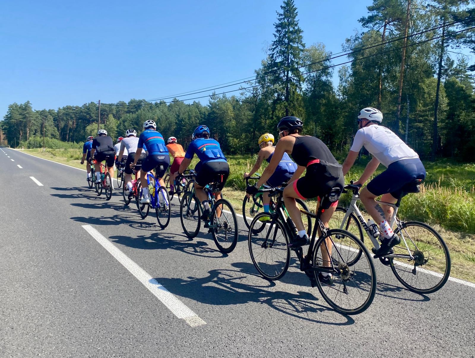 grupa kolarzy na szosie