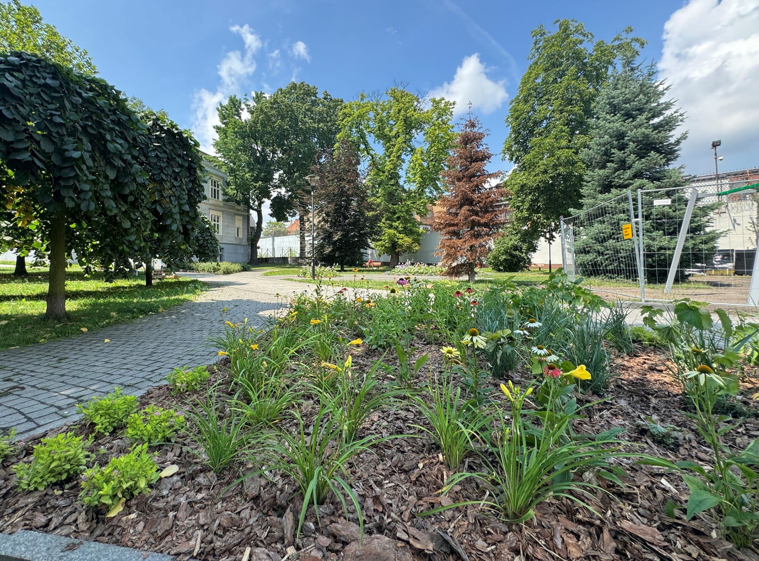 rośliny na skwerze Bottrop