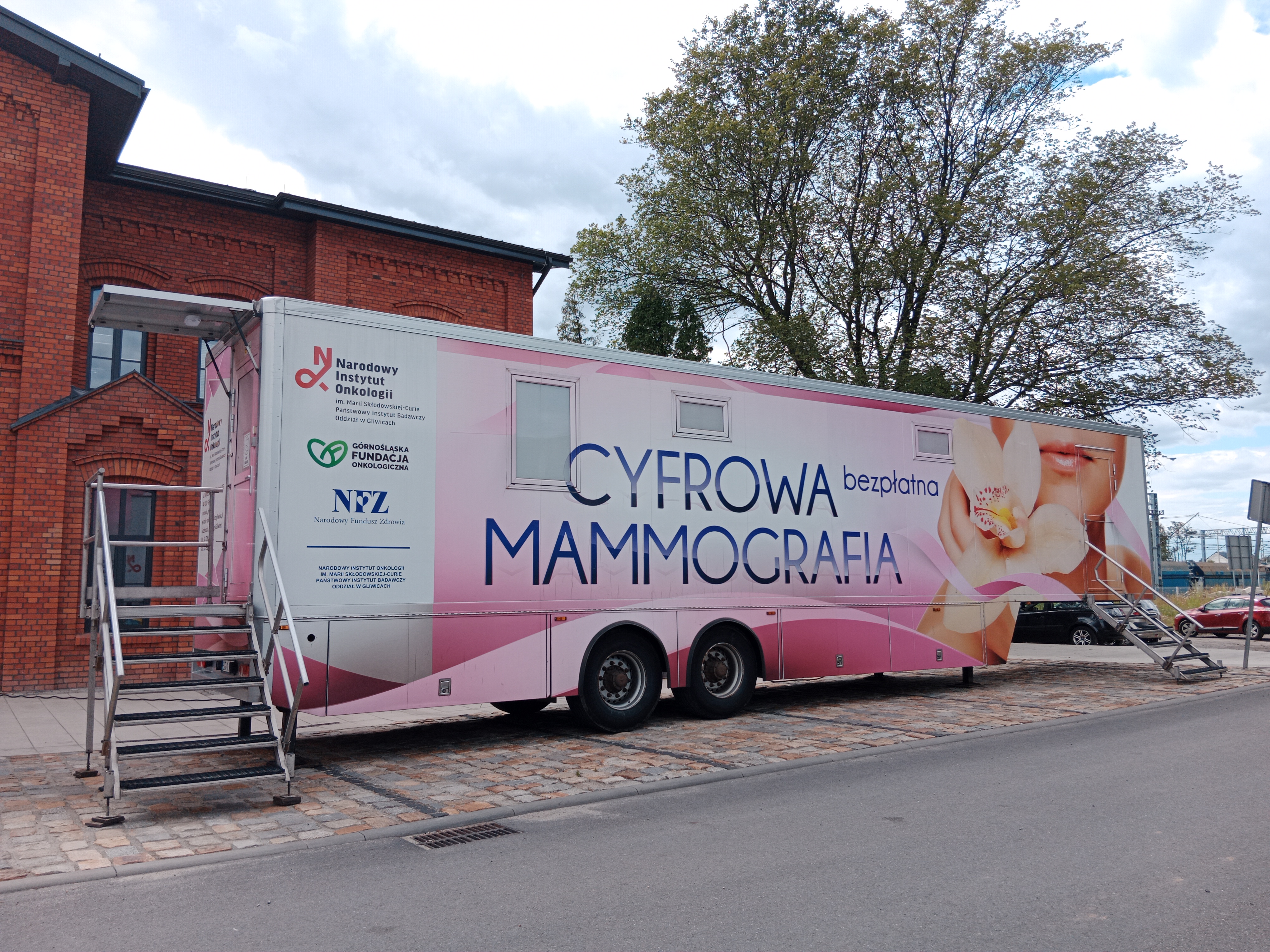 mammobus
