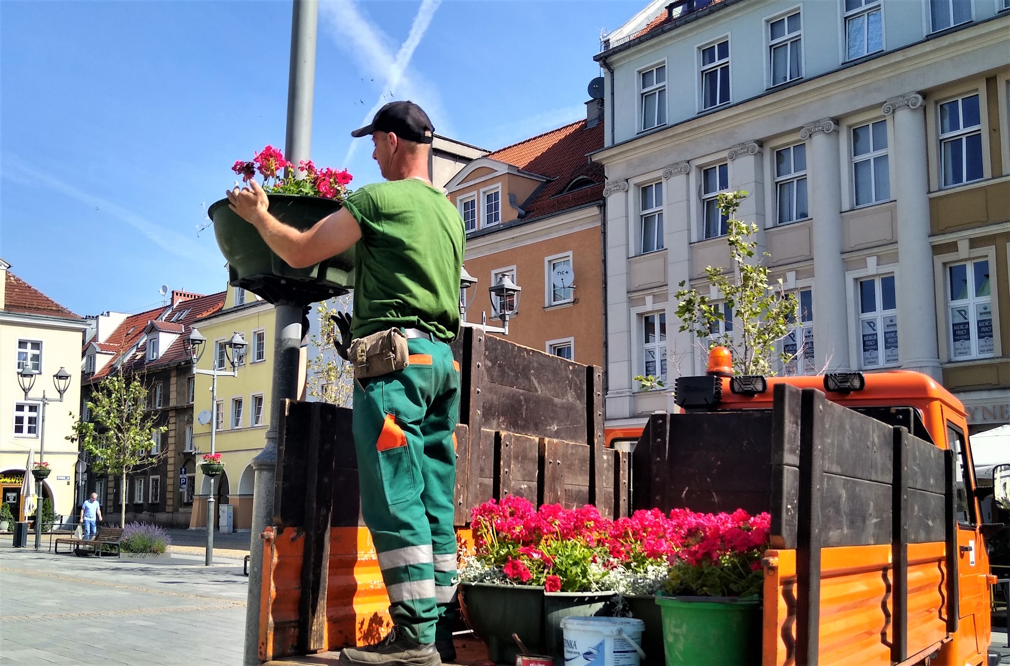 Gliwice w pelargoniach