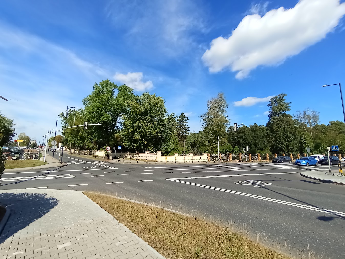 ulica, drzewa