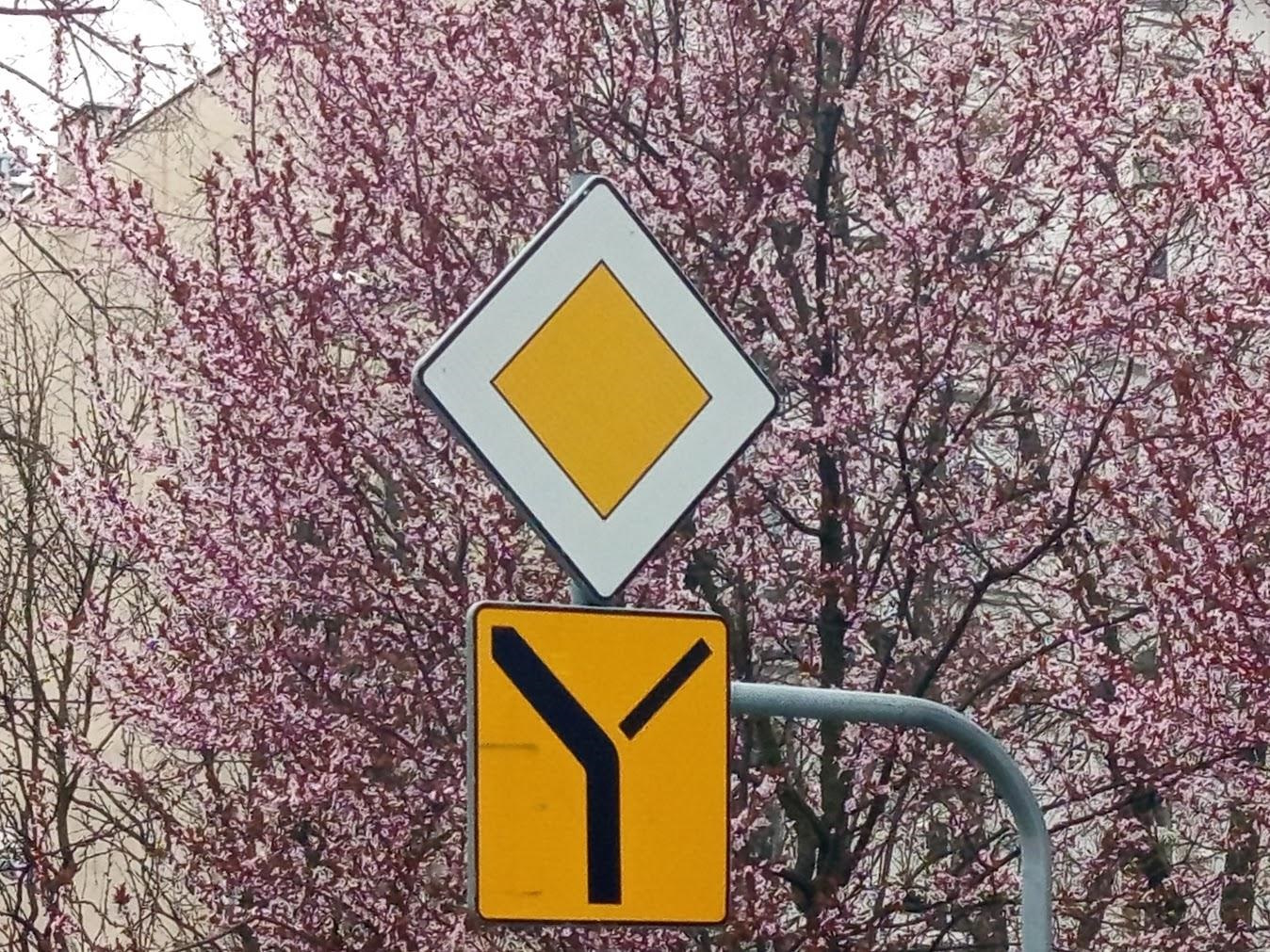 znak, drzewo
