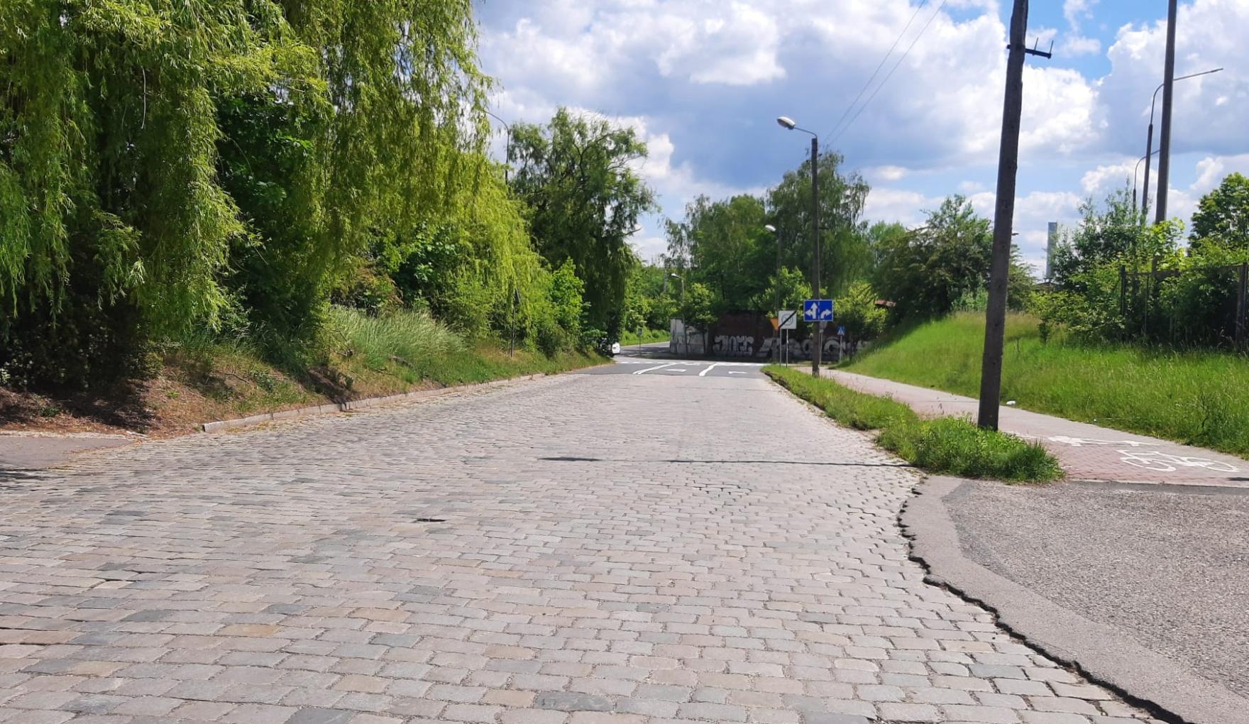 bruk, chodnik, drzewa