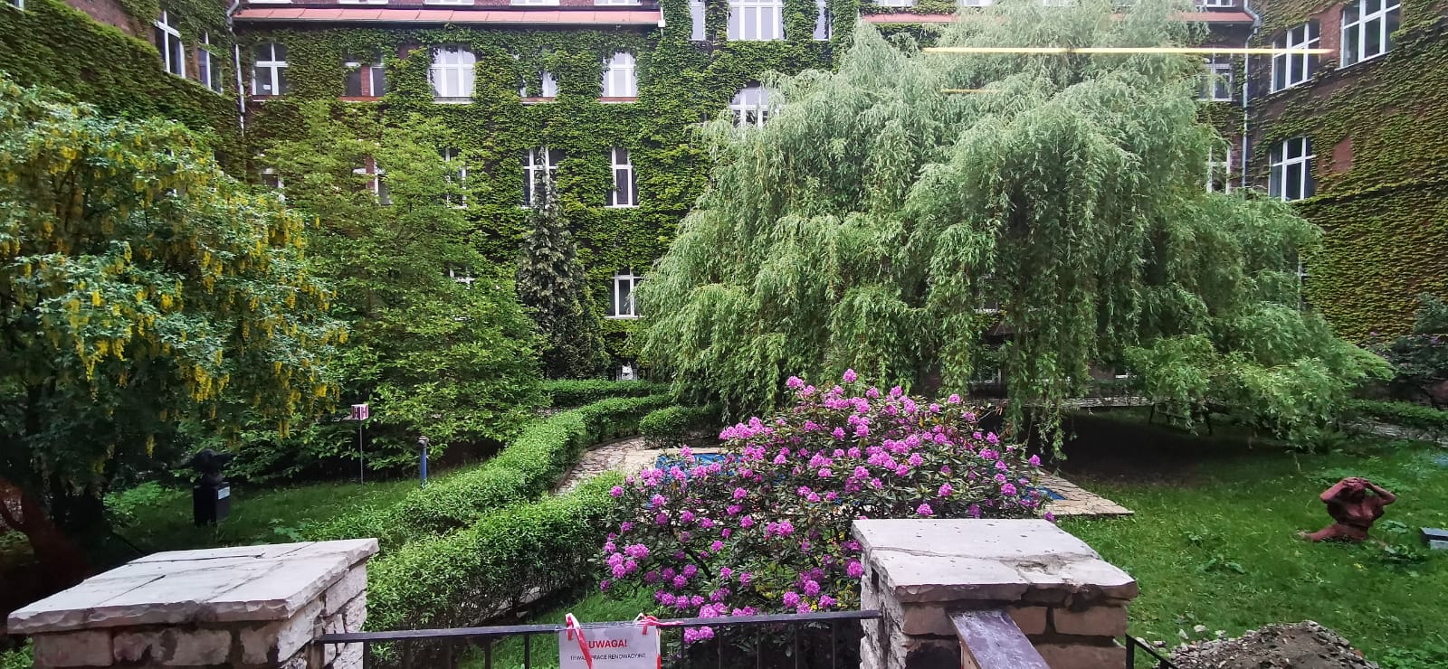 zieleń, ławki