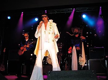 Elvis