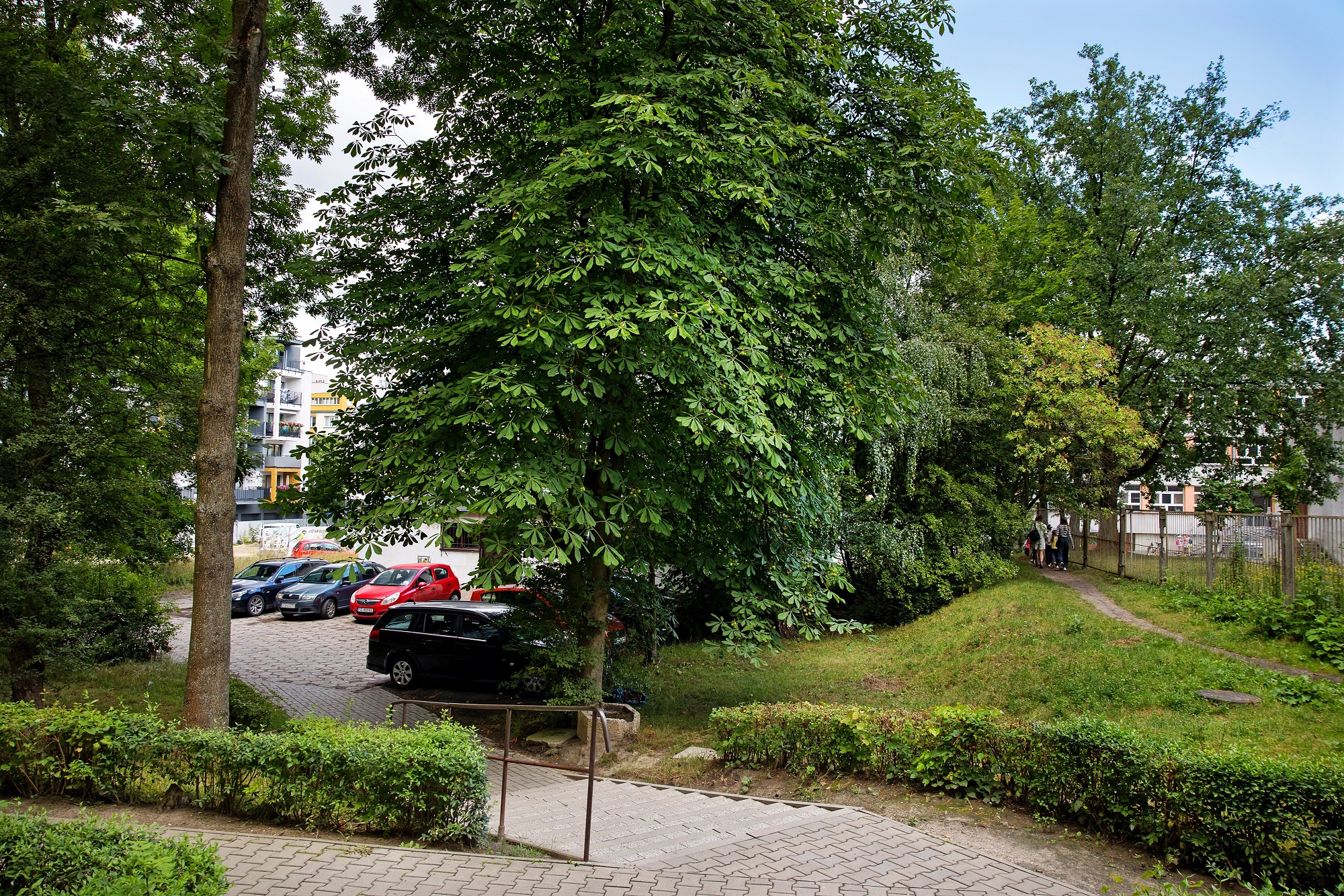 skwer przy ul. Kormoranów 25