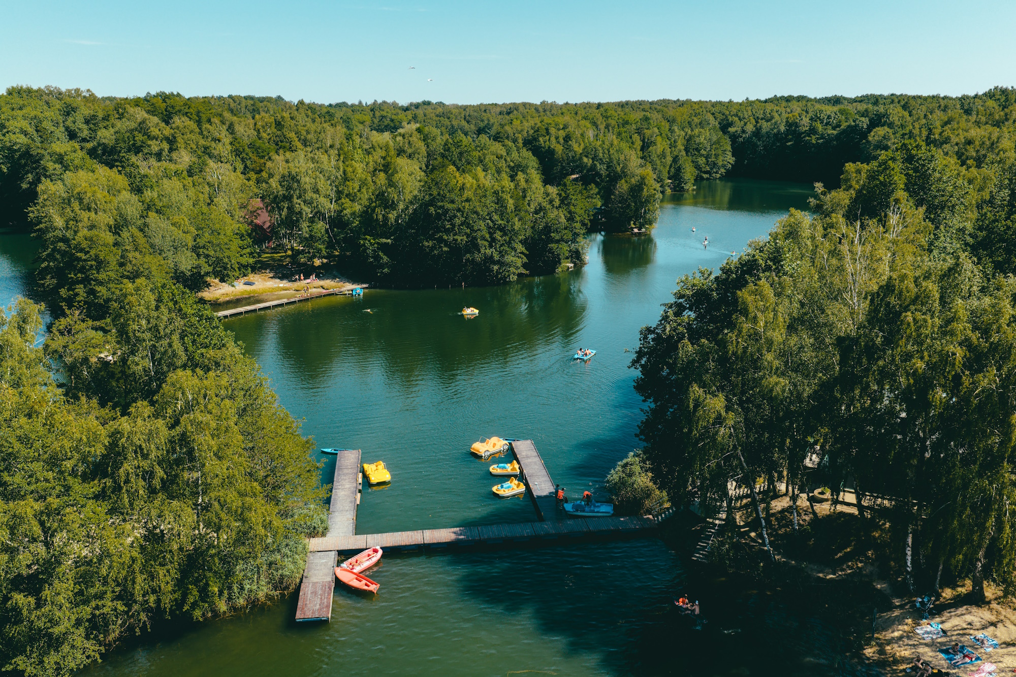 Jezioro i las