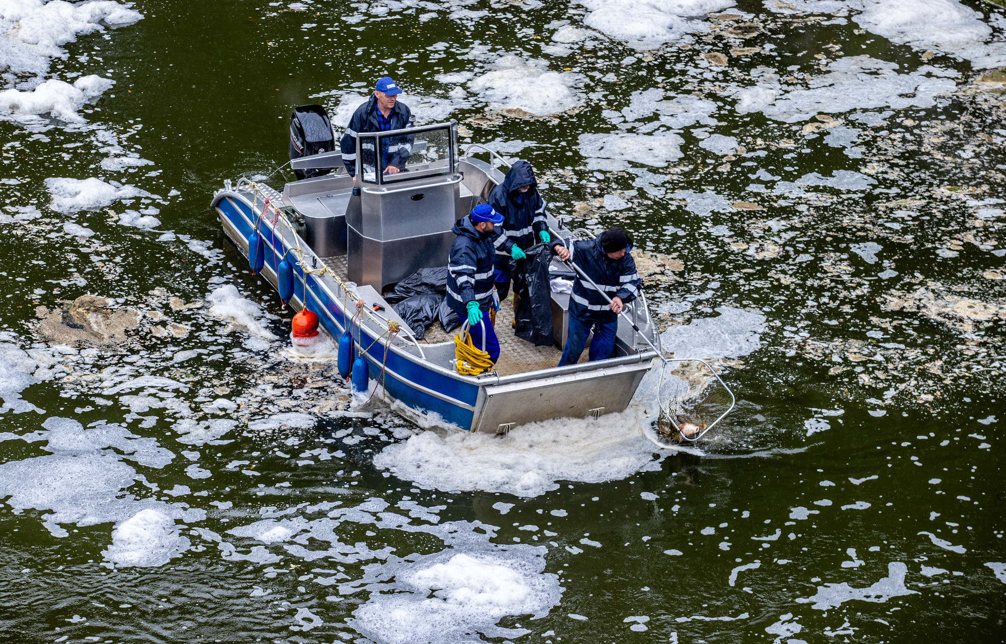 Złota alga w zbiorniku Dzierżno Duże. Służby interweniują