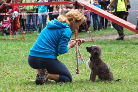 Już w niedzielę PSISTANEK w Parku Chopina