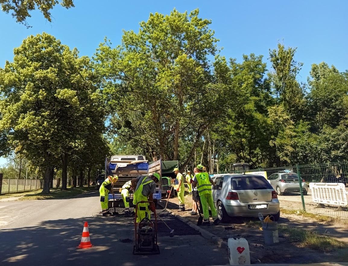 Nawierzchnia pod kontrolą, gałęzie pod nożyce. Sprawdź, gdzie dzisiaj prowadzone są prace drogowe i porządki