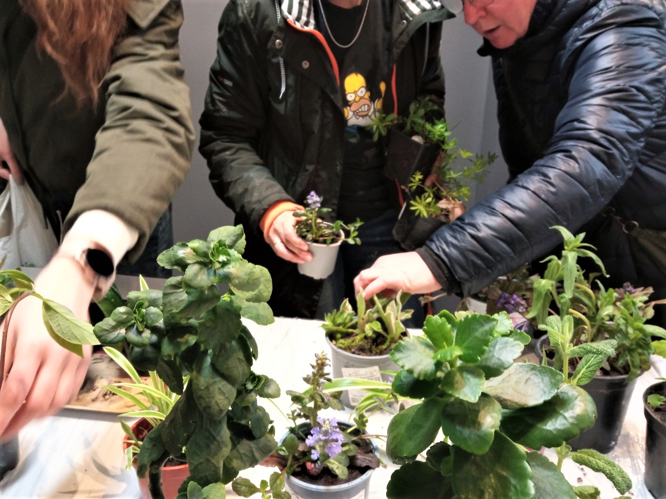 ręce ludzkie szukające na stole odpowiednich kwiatów 